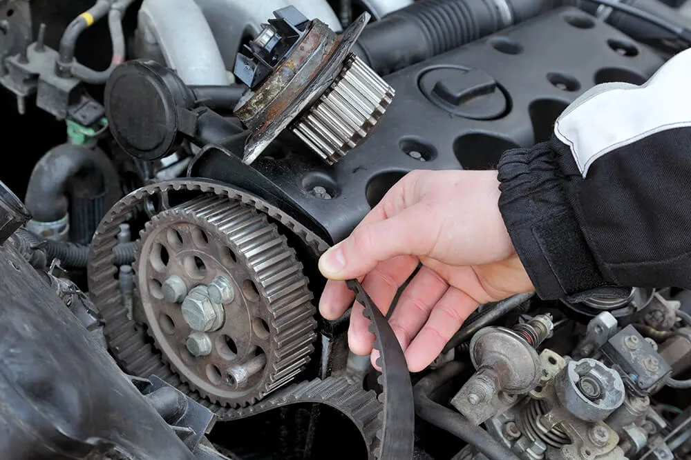 The Importance Of Engine Repair Services For Your Vehicle's Timing Belt And Timing Chain