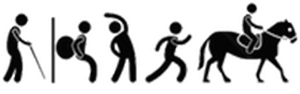 Northwest Physical Therapy Care